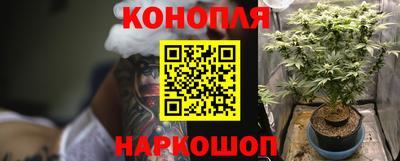 ГАЛЛЮЦИНОГЕННЫЕ ГРИБЫ Малгобек