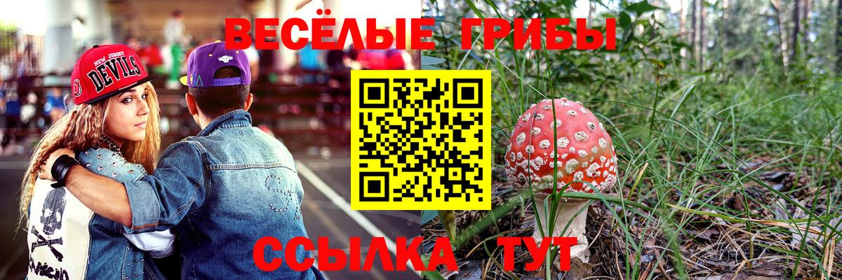 Псилоцибиновые грибы ЛСД  Вход с VPN  Псилоцибиновые грибы Psilocybine cubensis  Удомля 