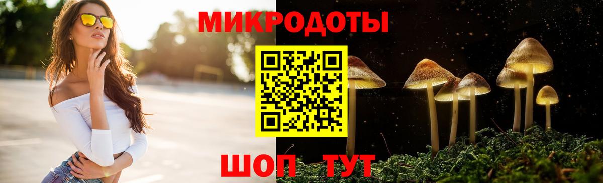 Псилоцибиновые грибы мицелий Удомля
